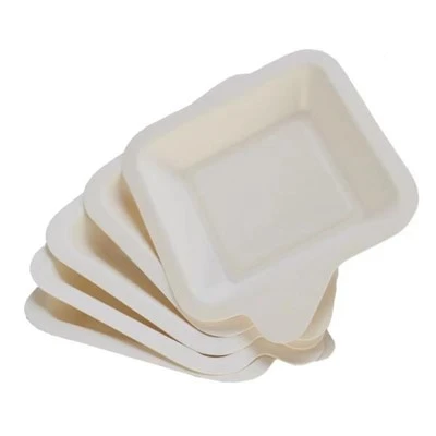 Bagasse نٹ ٹرے